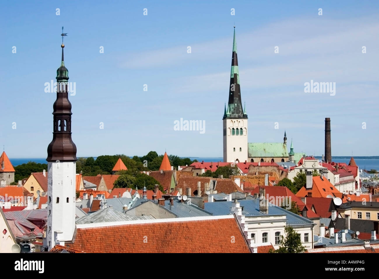 Vecchi tetti della città dal Castello di Toompea Tallinn Estonia Foto Stock