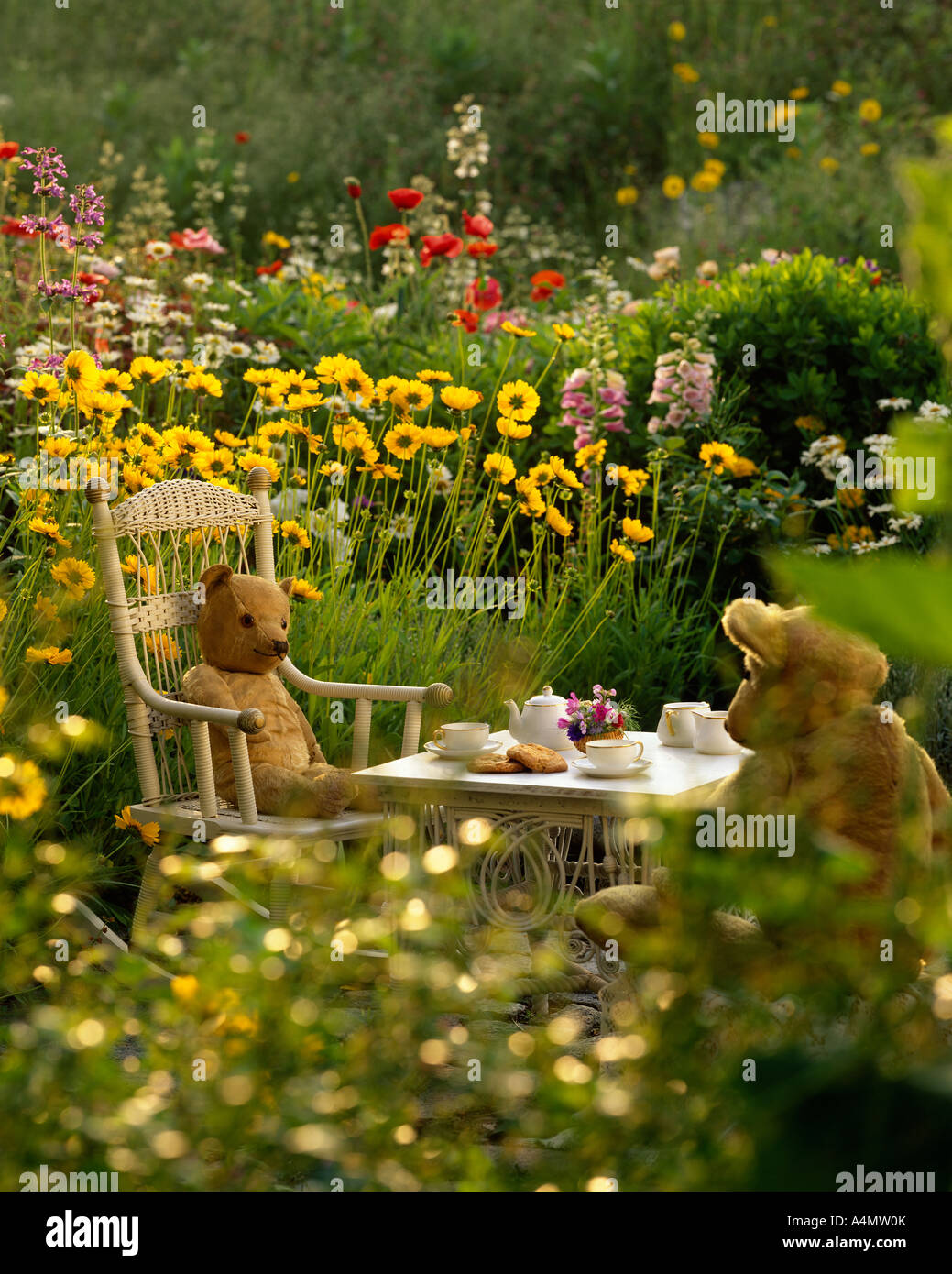 ANTIQUE ORSACCHIOTTI A picnic nel giardino di fiori selvaggi / PENNSYLVANIA Foto Stock