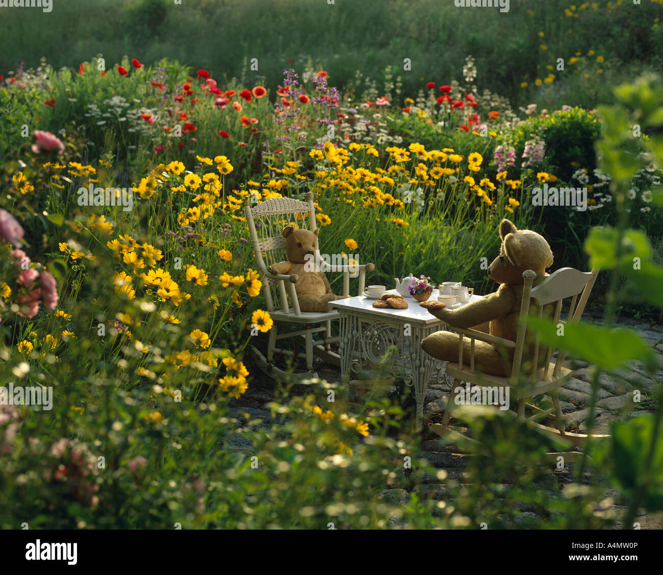 ANTIQUE ORSACCHIOTTI A picnic nel giardino di fiori selvaggi / PENNSYLVANIA Foto Stock