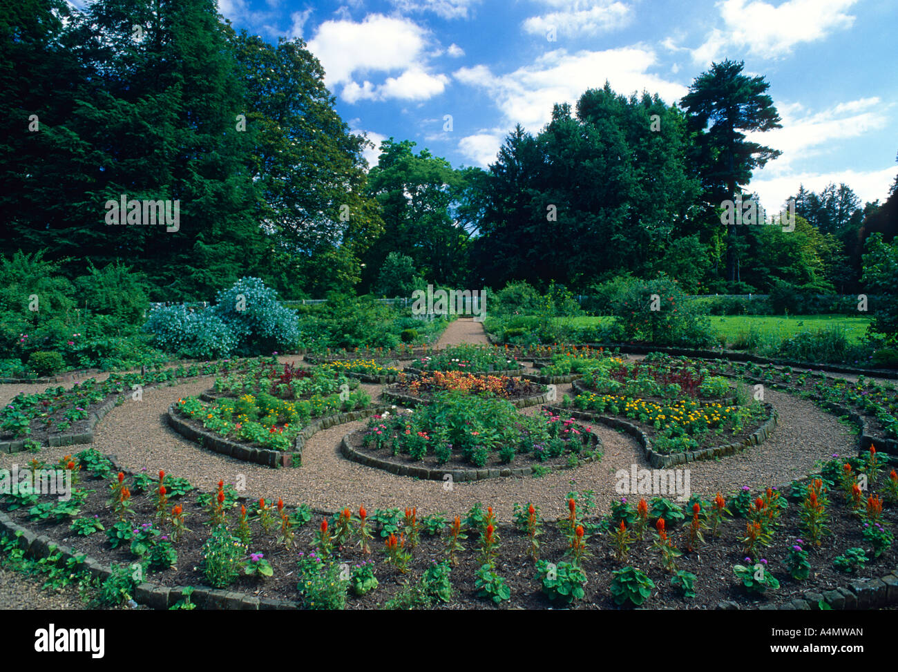PARTERRE giardino con piante annue / Tennessee Foto Stock