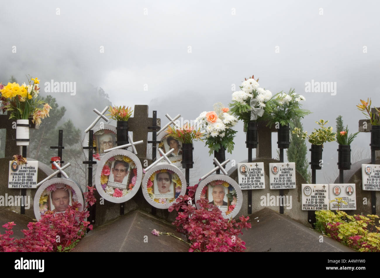 Curral das Freitas cimitero di nebbia, Madeira, Portogallo, Europa Foto Stock