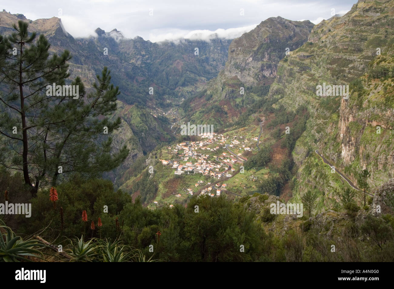 Bird view di Curral das Freitas da Eira Do Serrado, Madeira, Portogallo, Europa Foto Stock