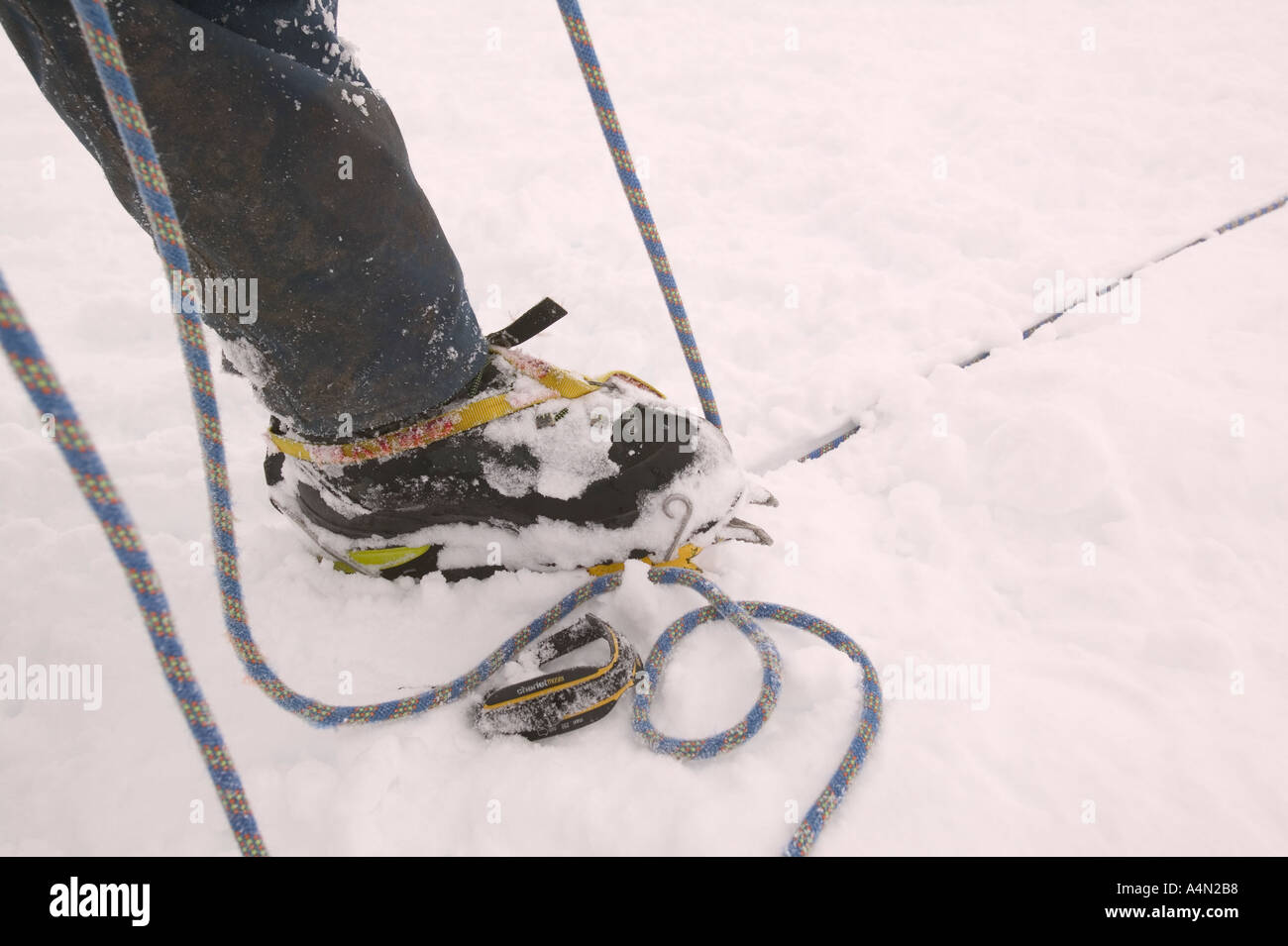 Inverno scalatore belays partner su una salita su aonach Mhor Foto Stock