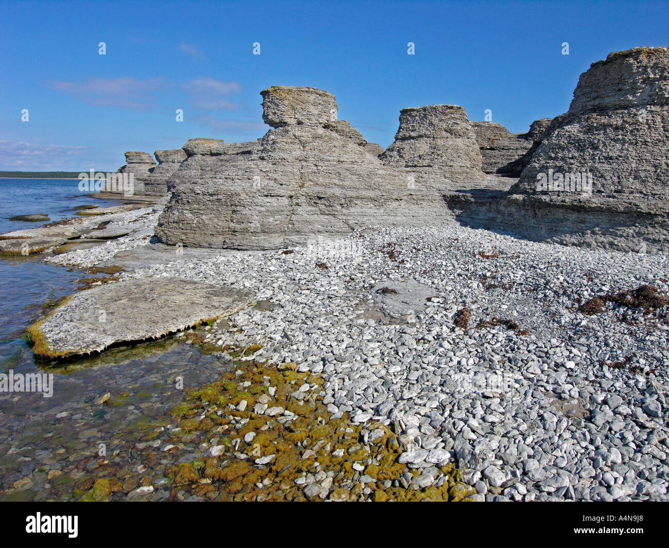 Byerums Raukar offerte straordinarie forme di calcare in Byerum sulla costa occidentale dell isola Oland Foto Stock