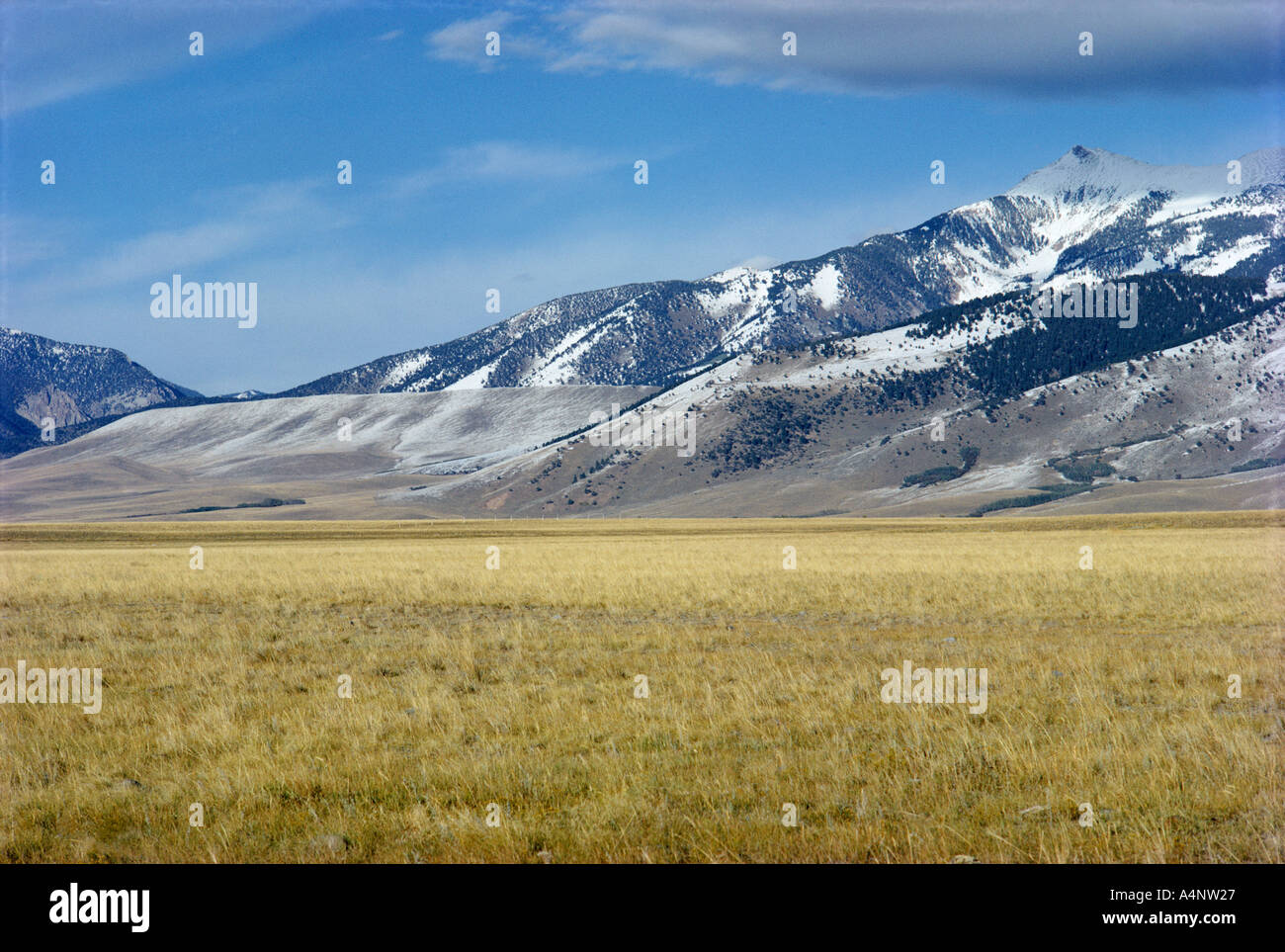 Continental Divide vicino Butte Montana Stati Uniti d'America U S A America del Nord Foto Stock