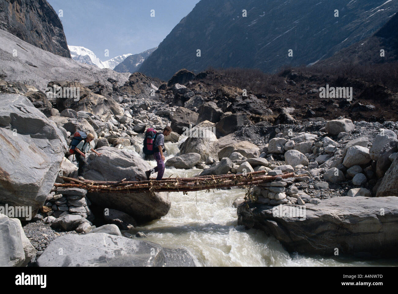 Trekker su locale ponte che attraversa il fiume regione Annapurna Himalaya Nepal Asia Foto Stock