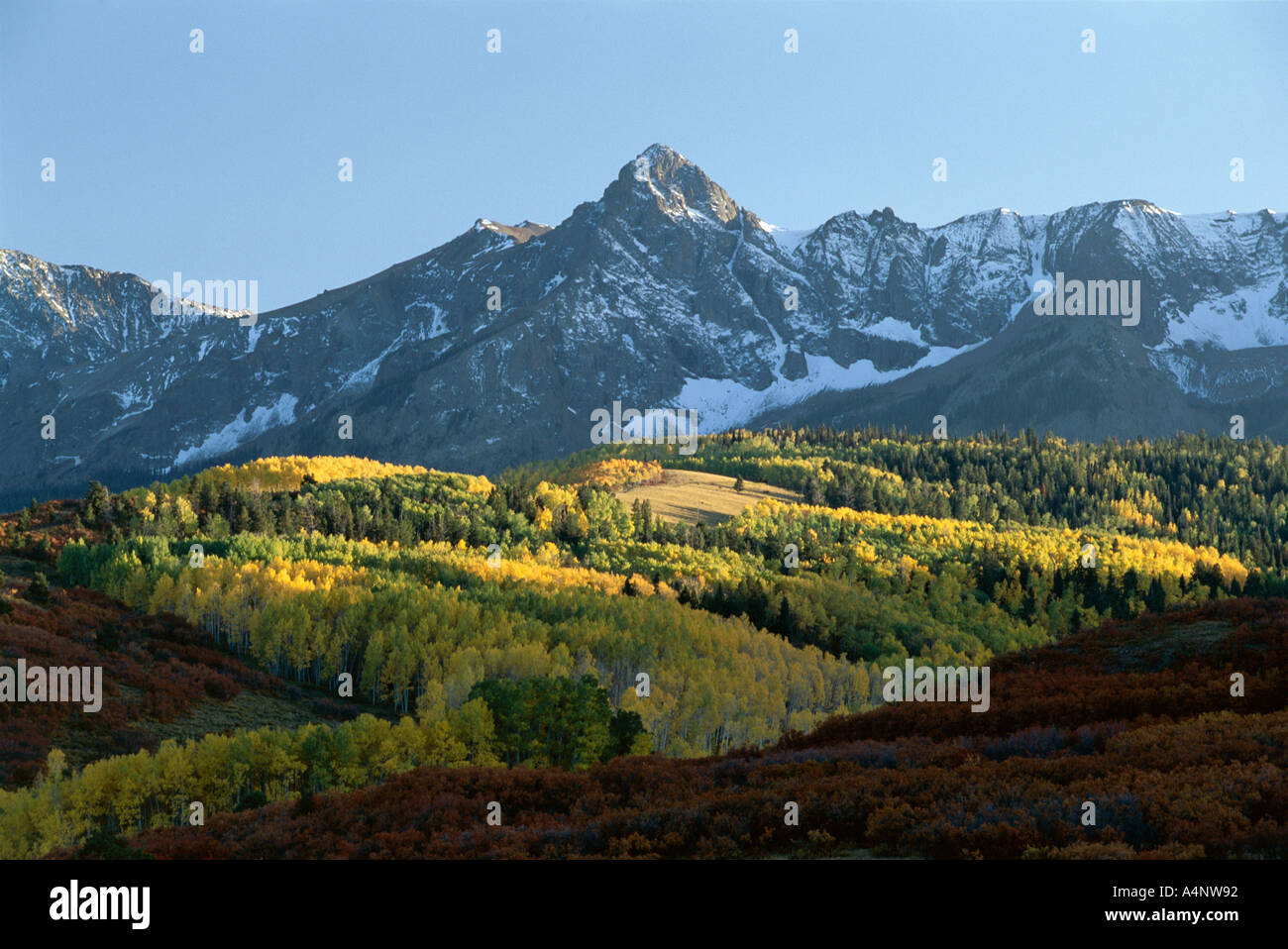 I colori autunnali Colorado Stati Uniti d'America U S A America del Nord Foto Stock