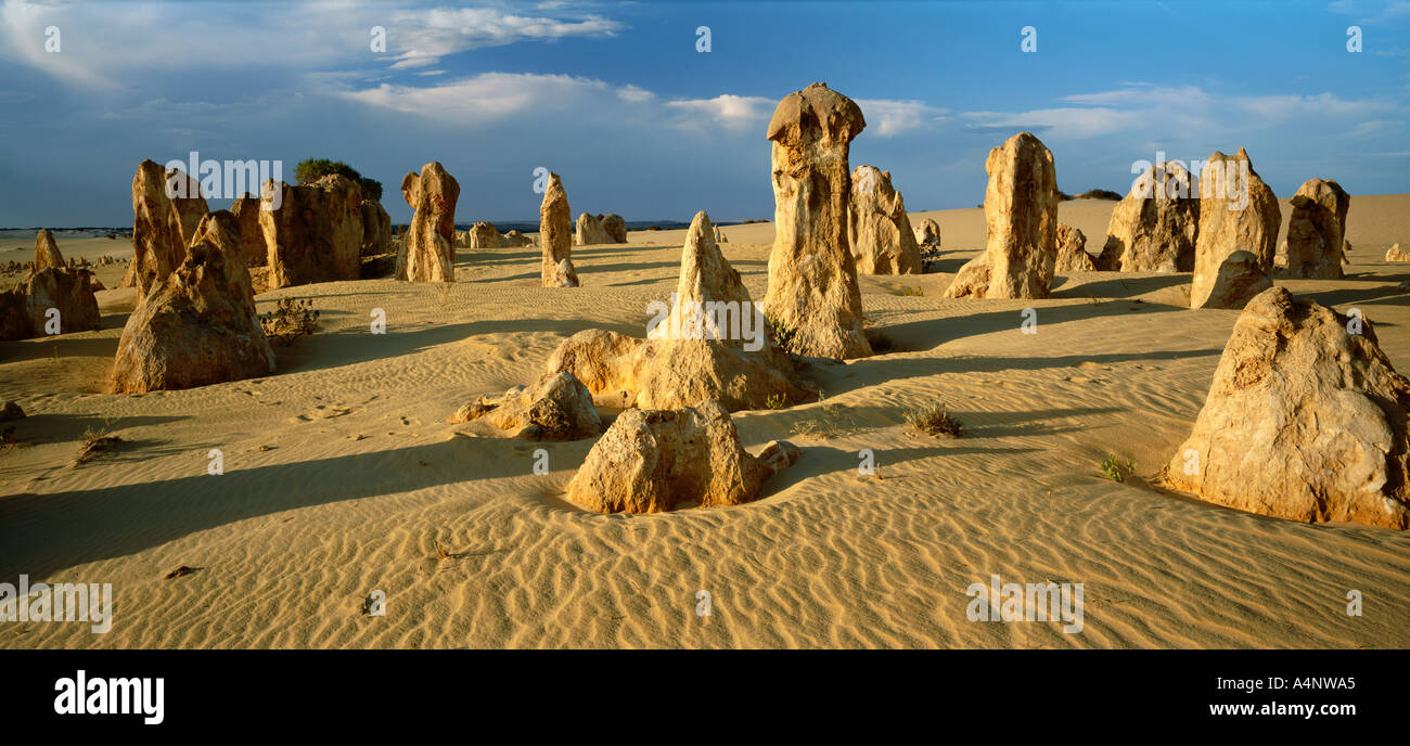 Panorma del eroso le formazioni rocciose del Deserto dei Pinnacoli Nambung National Park vicino a Perth Western Australia Australia Pacific Foto Stock