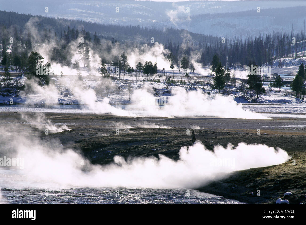Il vapore da sorgenti di acqua calda e priva di neve la massa calda nel bacino di Midway in inverno il Parco Nazionale di Yellowstone Sito Patrimonio Mondiale dell'UNESCO Foto Stock
