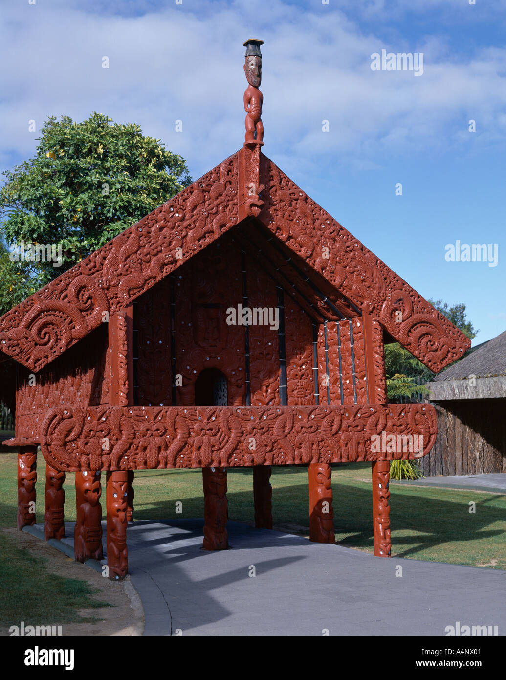 Esterno della casa Maori Whakarewarewa Rotorua Isola del nord della Nuova Zelanda Pacific Foto Stock