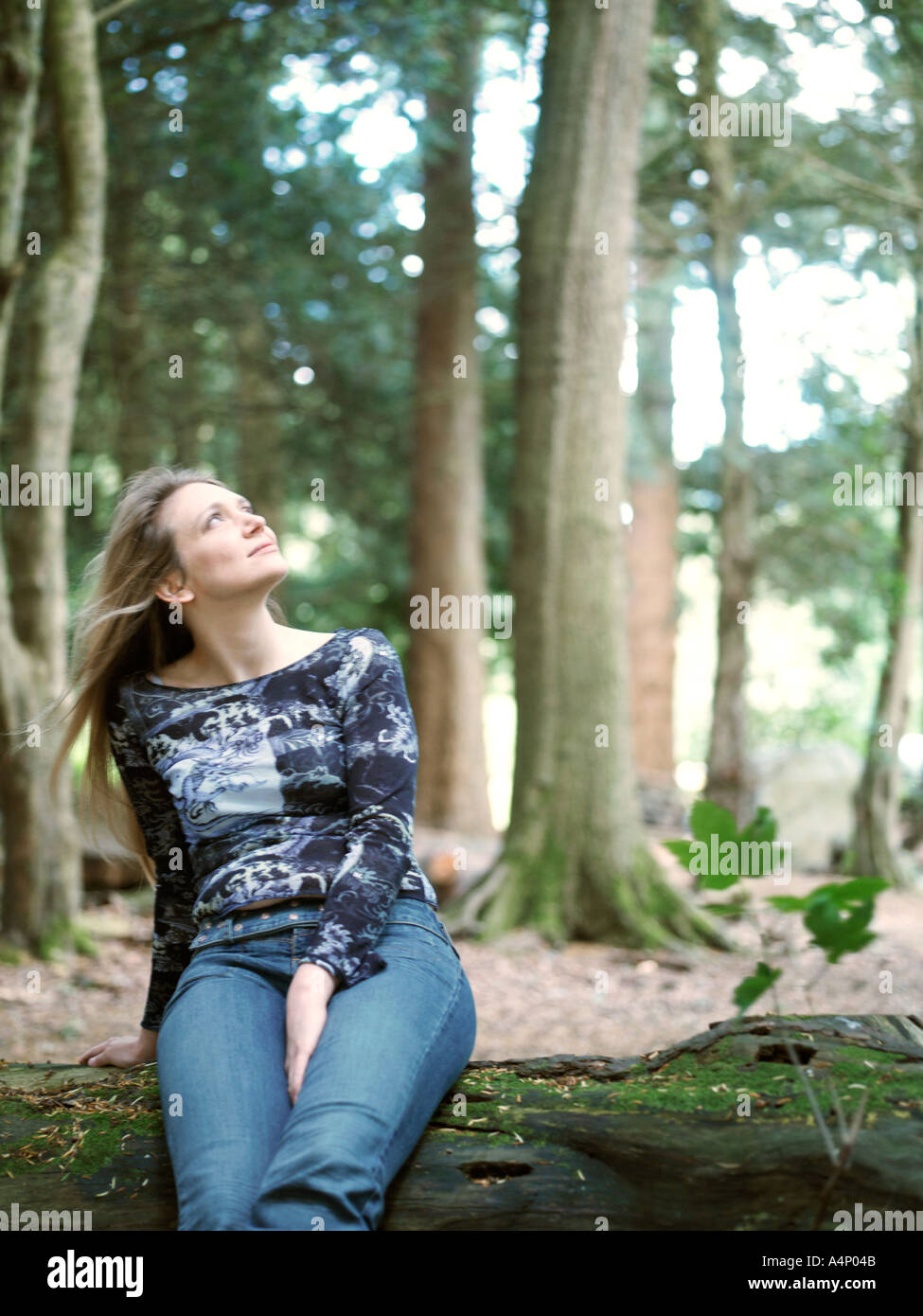 Giovane donna sat caduti sul tronco di albero cercando Foto Stock