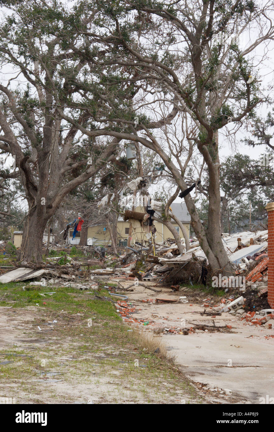 Detriti dall uragano Katrina ancora appeso in alberi di sei mesi dopo la tempesta ha devastato la costa Foto Stock