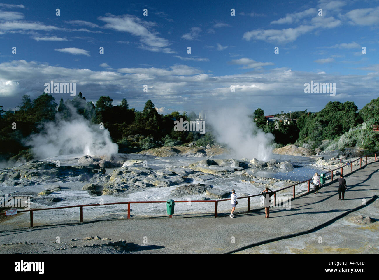 In eruzione di geyser e terrazze minerali Whakarewarewa area termale Rotorua South Auckland Isola del nord della Nuova Zelanda Pacific Foto Stock