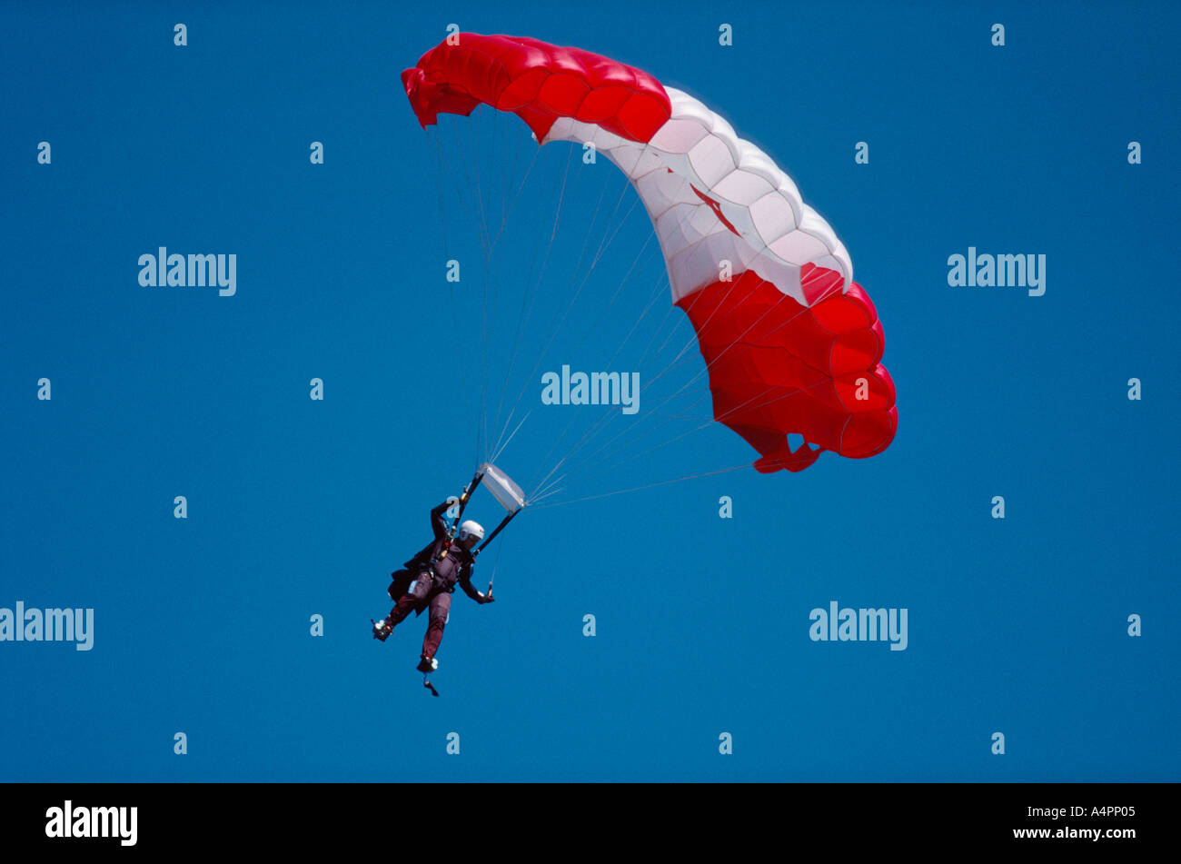 Parachutist contro il cielo blu con la Canadian maple leaf parachute Foto Stock