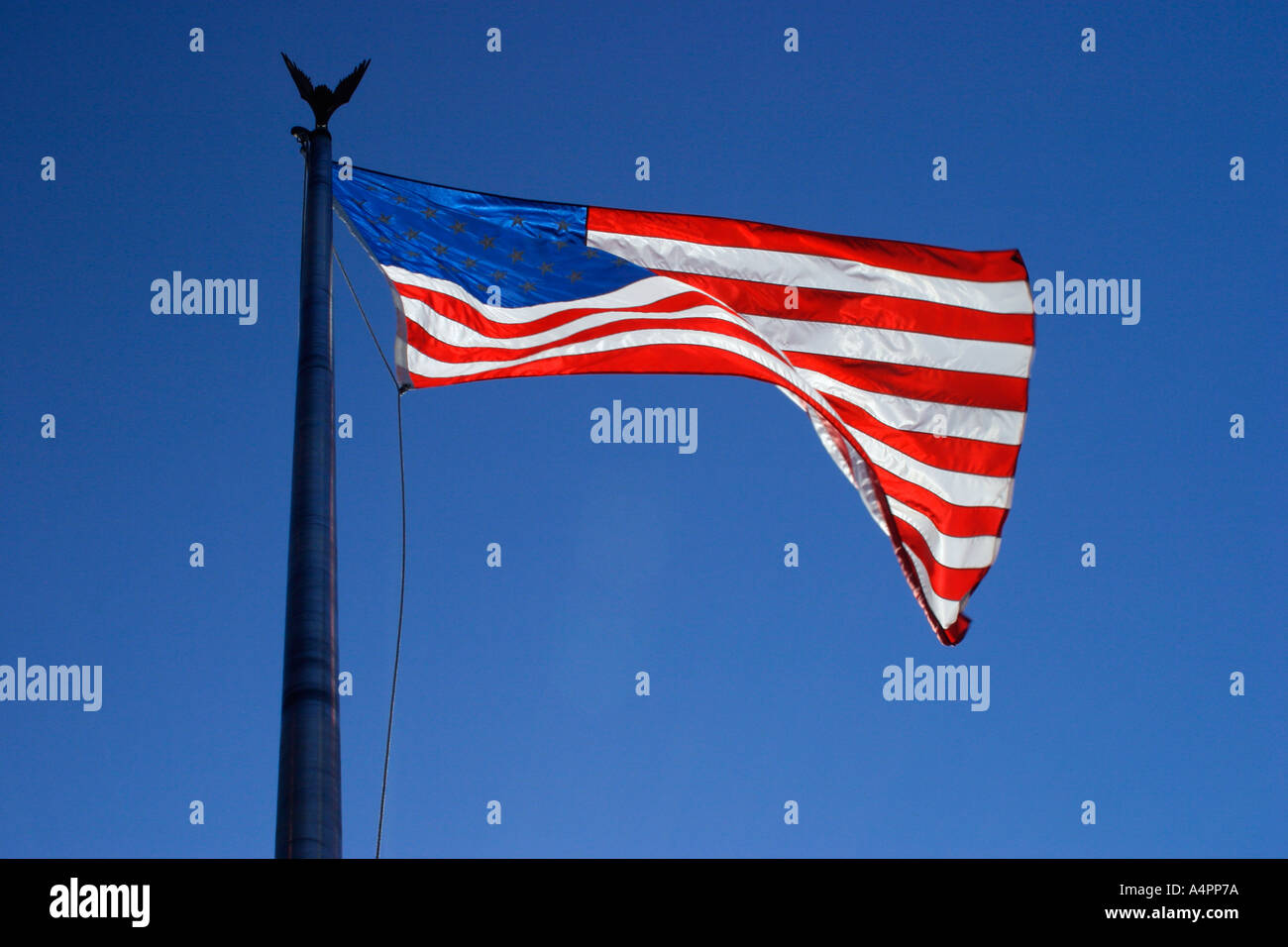 Bandiera americana retroilluminato in mattina presto Foto Stock