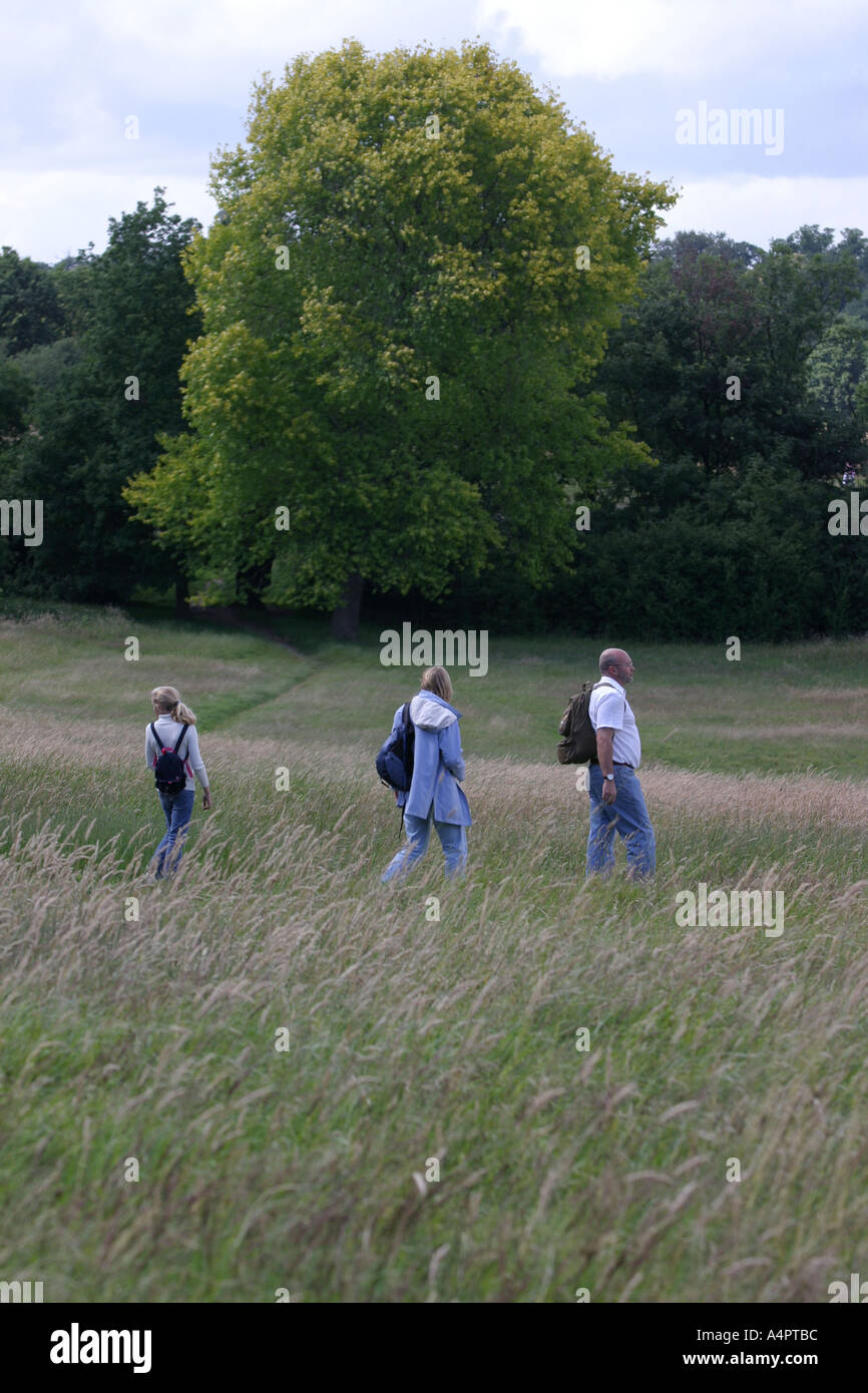 Una famiglia a piedi su Hampstead Heath, Londra, Regno Unito. Foto Stock