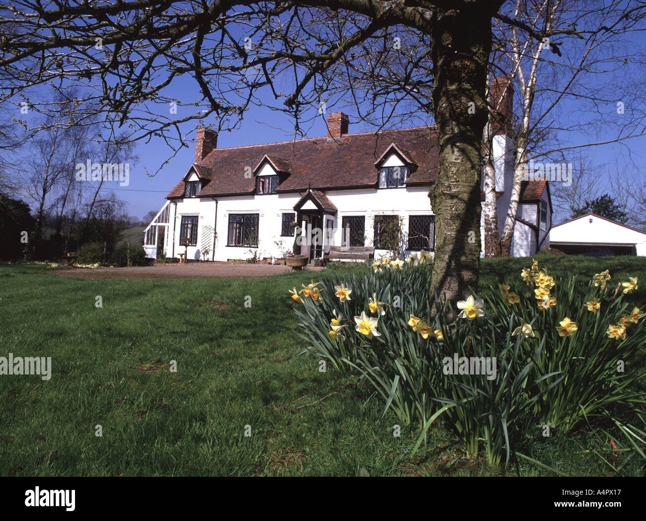Un giorno di primavera in un giardino cottage a redmarley Foto Stock