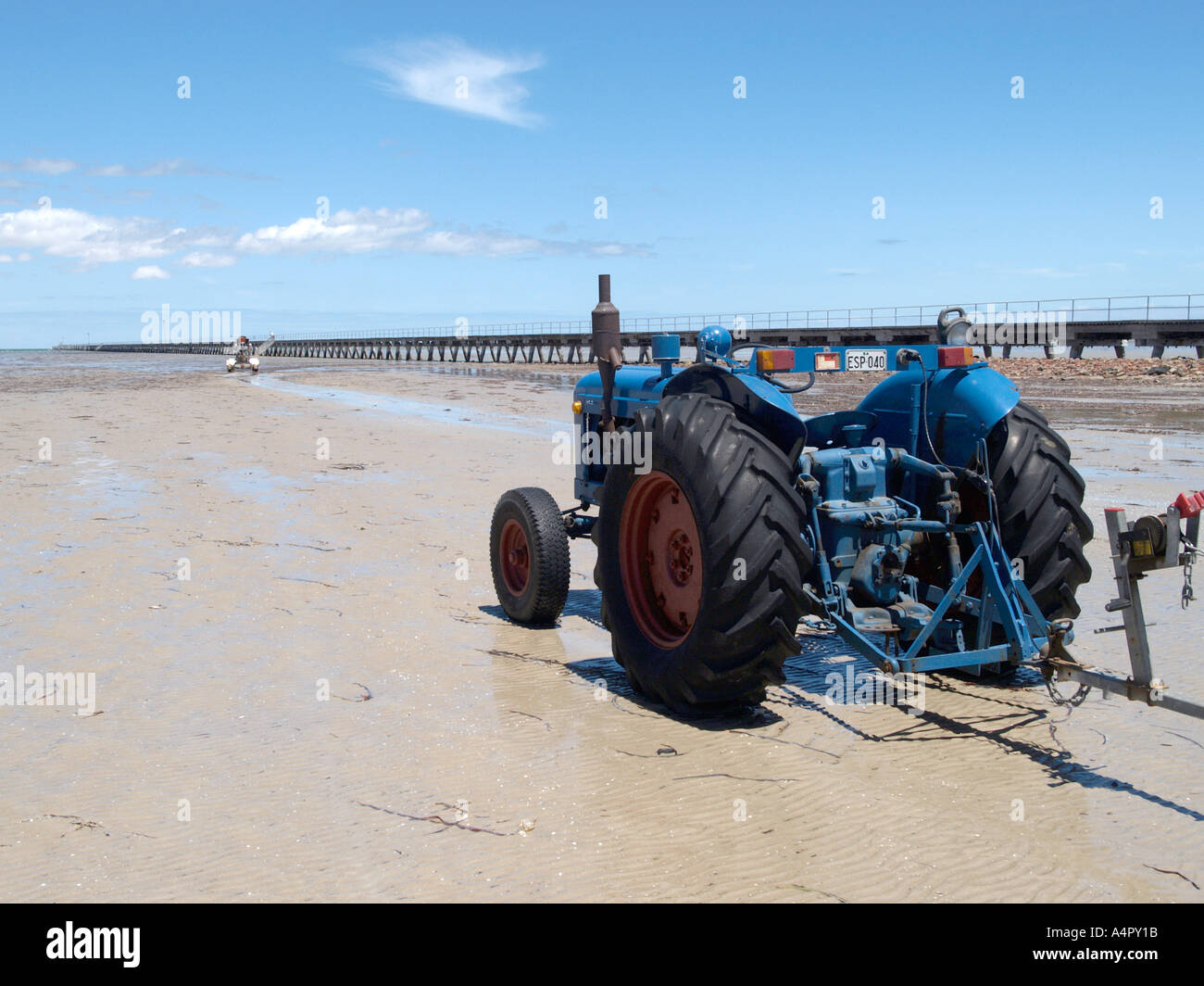 Trattori sulla spiaggia con la bassa marea porto germaine su Spencer Gulf South Australia Foto Stock