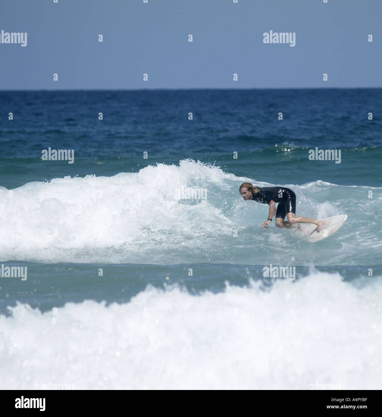 SURFER SU WAVE BONDI BEACH BONDI Nuovo Galles del Sud Australia Foto Stock