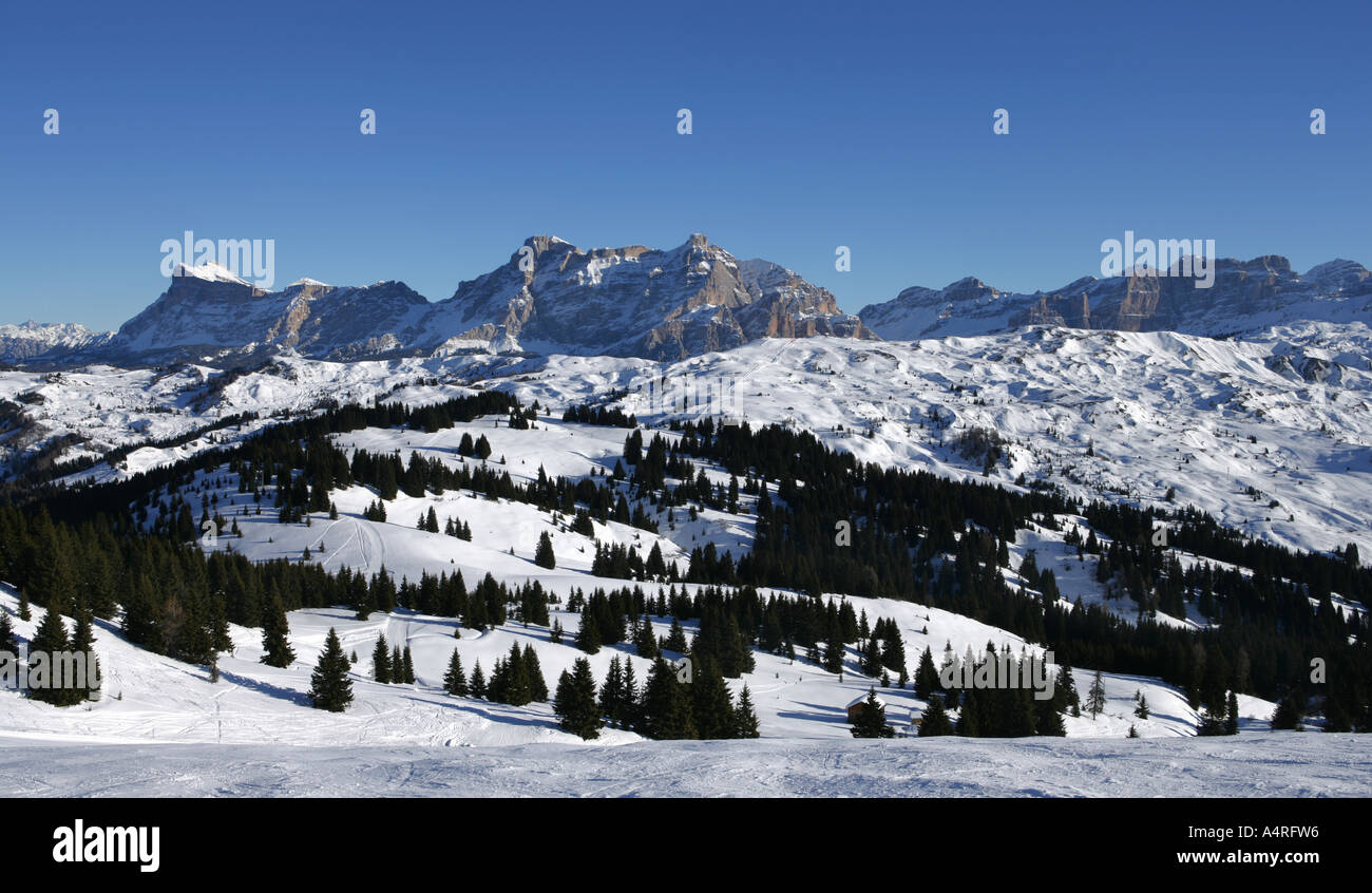 Gli alberi e le montagne delle Dolomiti in snow, Italia Foto Stock