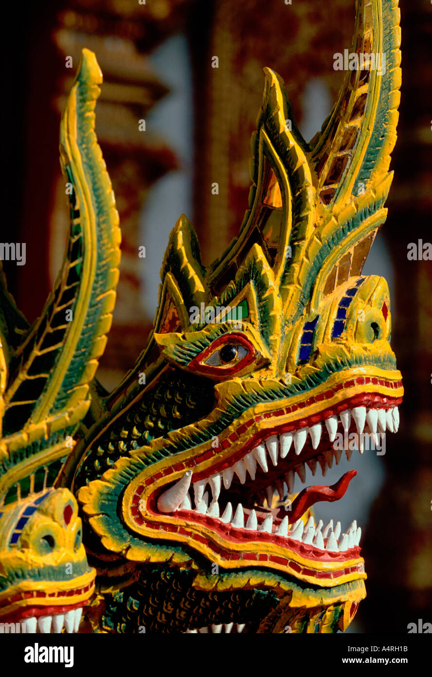 Naga, nagas, naga testa, naga teste, scala, Wat Bupparam, Chiang Mai e Chiang Mai Provincia, Thailandia, Sud-est asiatico, in Asia Foto Stock