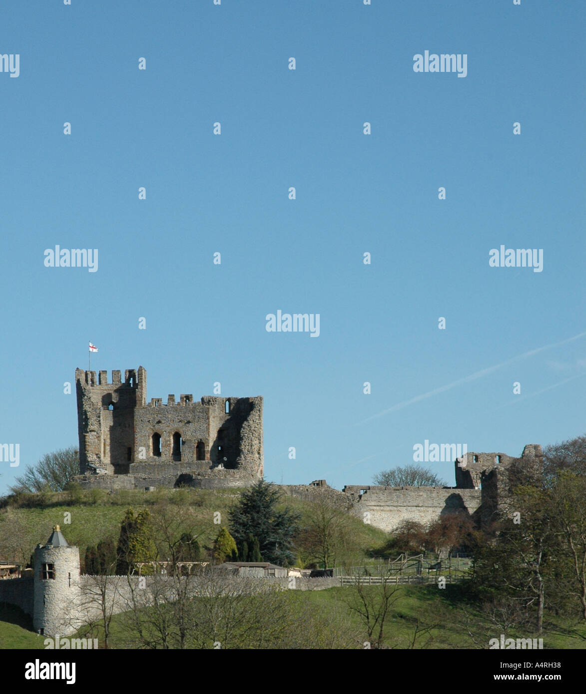 Dudley Zoo & Castle, West Midlands, England, Regno Unito Foto Stock