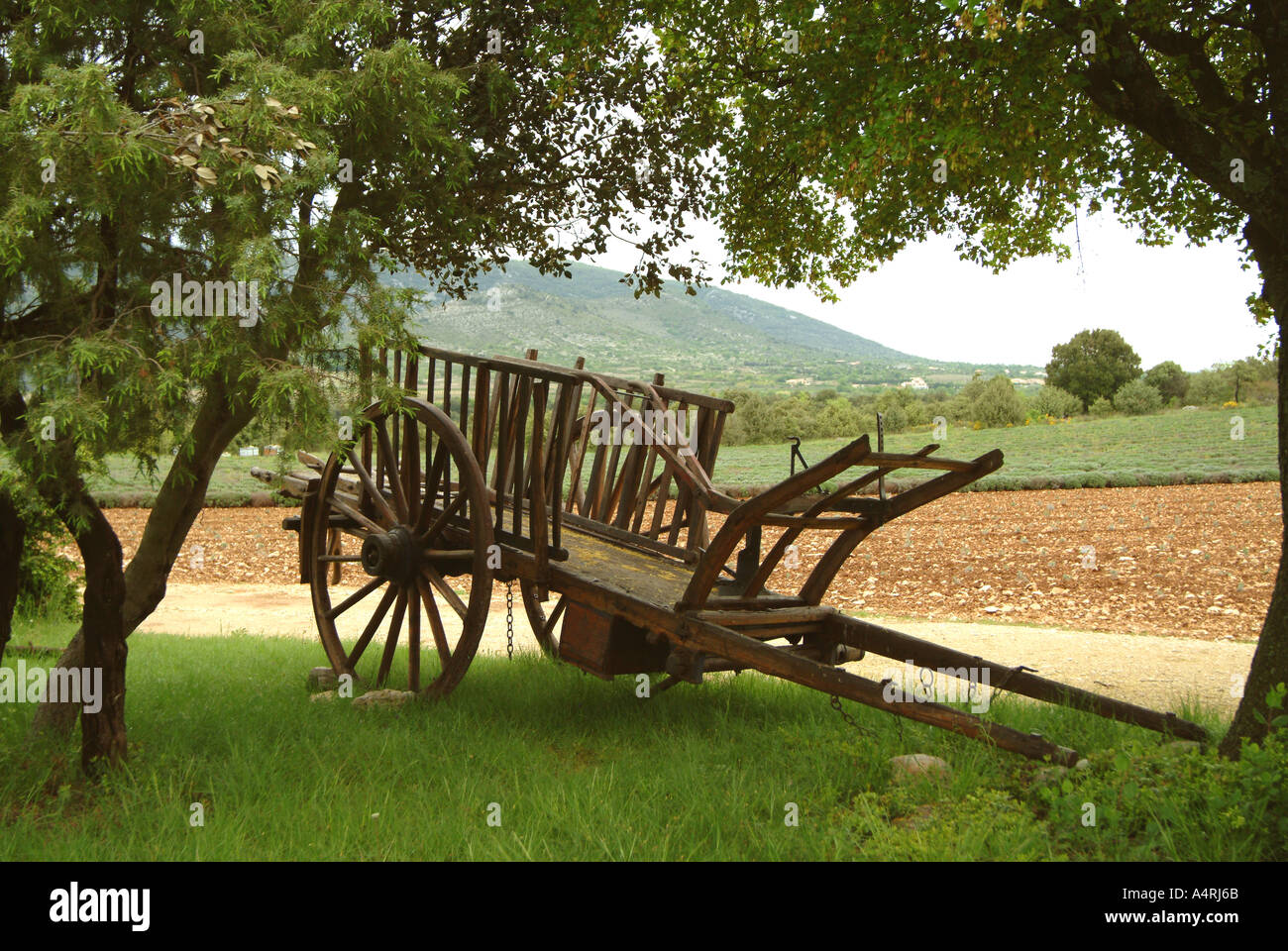 CartMBF1582 Ardeche Valle del Rodano in Francia haycart Farm o charrette sulle colline dell'Ardeche Foto Stock