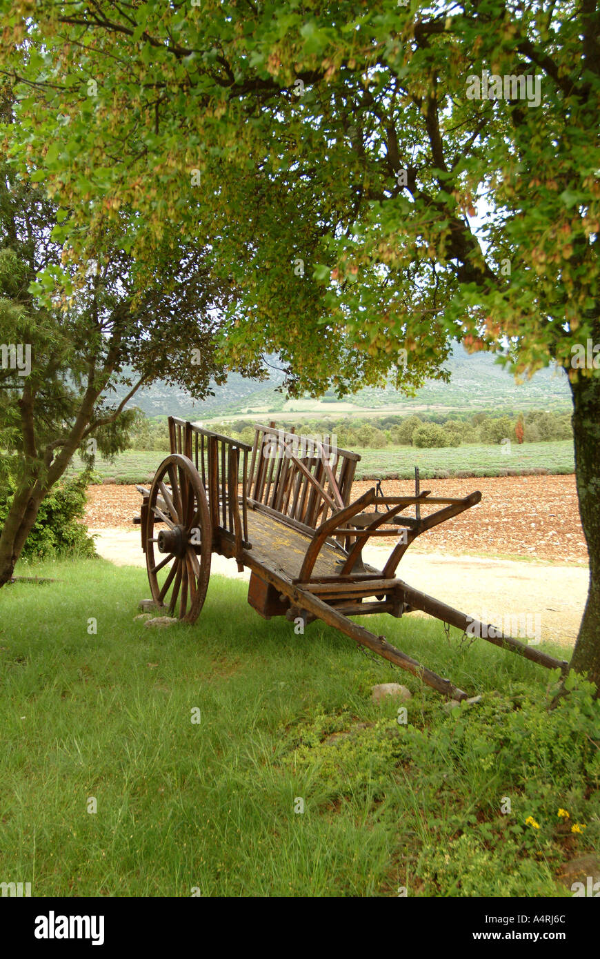 CartMBF 1583 rispettivamente Ardeche Valle del Rodano in Francia haycart Farm o charrette sulle colline dell'Ardeche Foto Stock