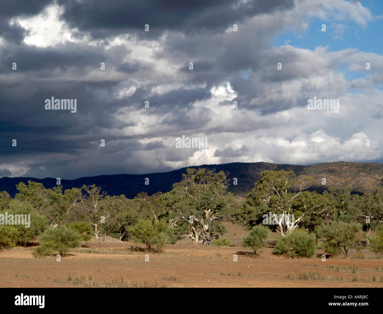 Vista da vicino parco rawnlsey guardando verso il chace e druid varia vicino a Wilpena Pound South Australia Foto Stock