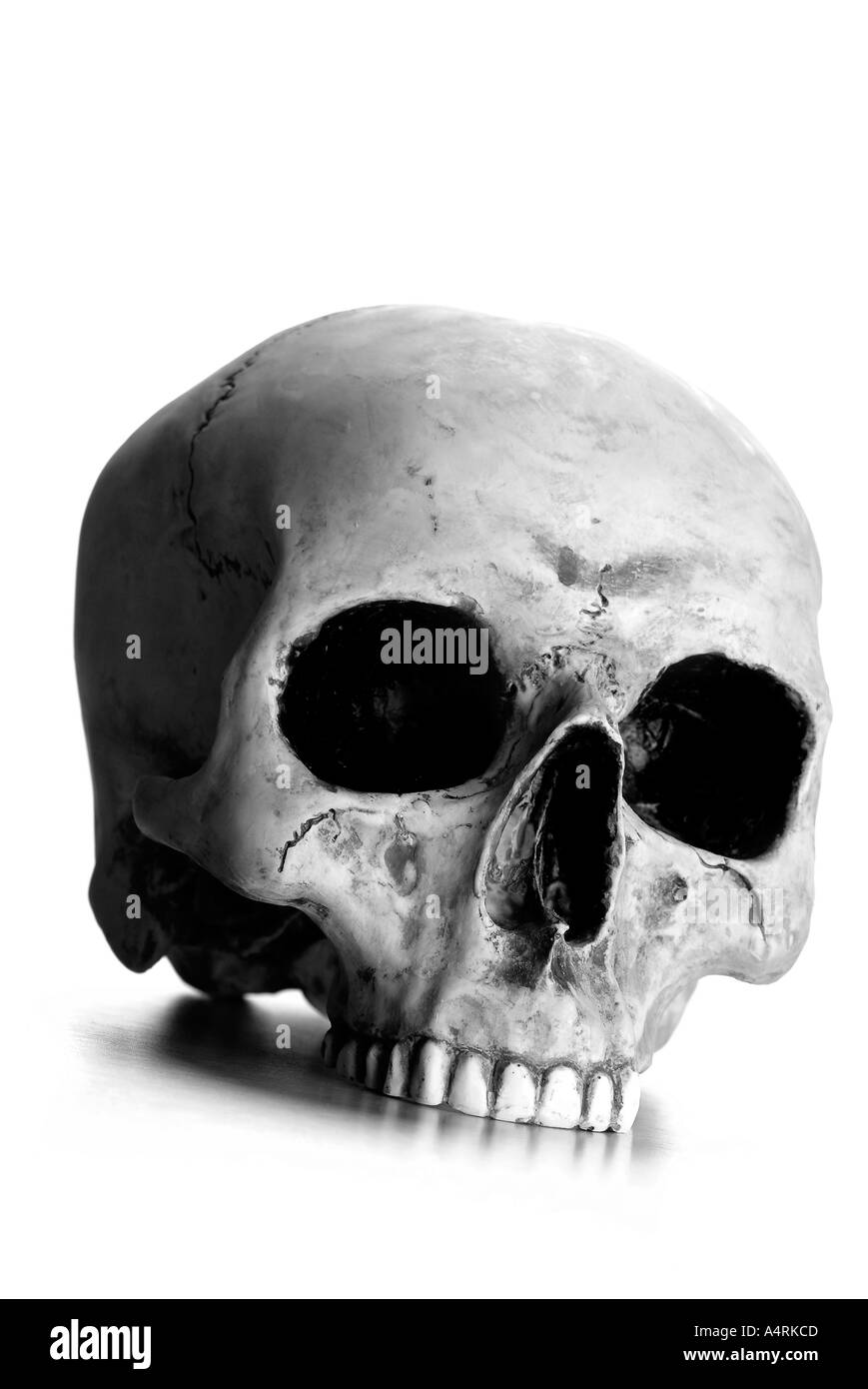 La morte la testa cranio Schädel Totenkopf Foto Stock