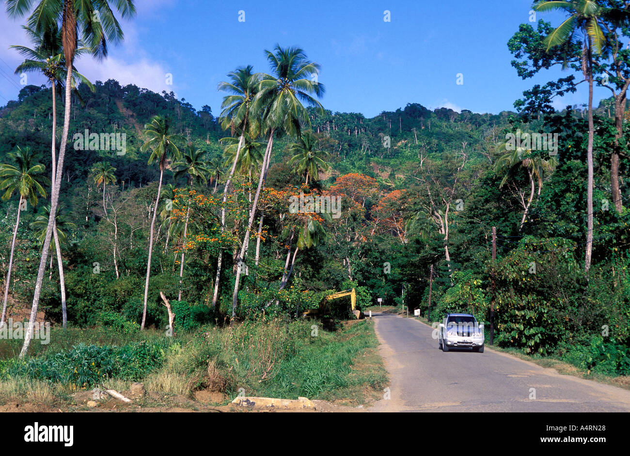 Una strada nella zona forestale Tobago Foto Stock