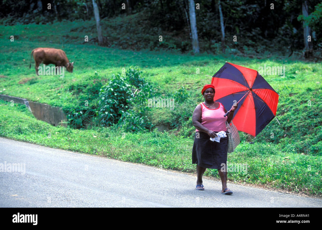 Una donna con ombrello a camminare su una strada Tobago Foto Stock