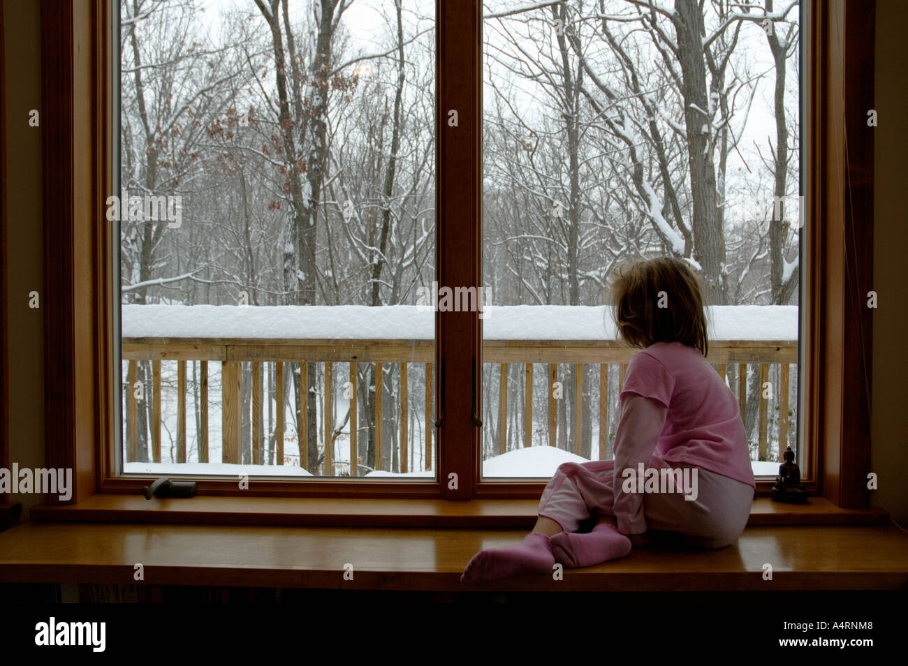 Lonely giovane ragazza guarda fuori della finestra sul grigio di una giornata nevosa Foto Stock