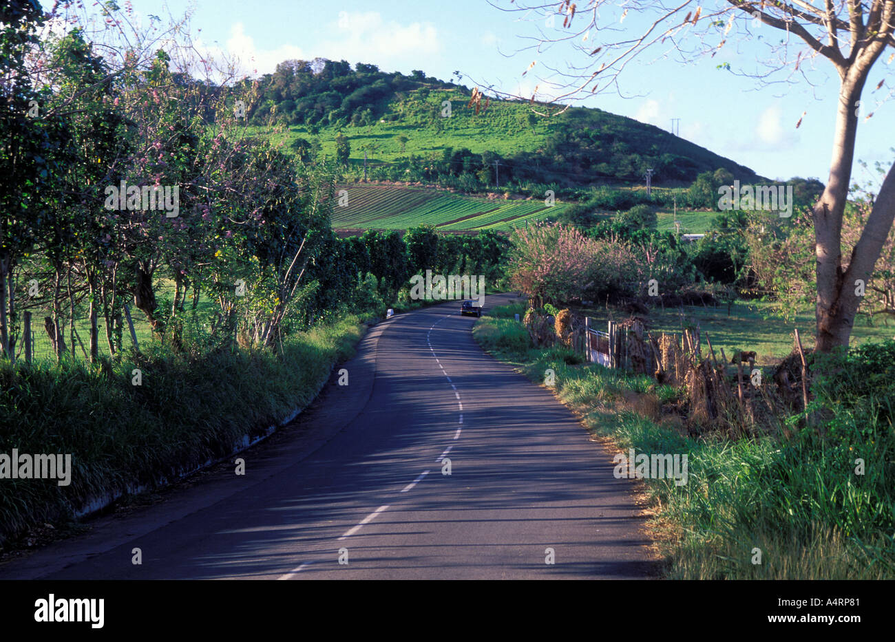 Strada panoramica nella punta sud della Martinica Foto Stock