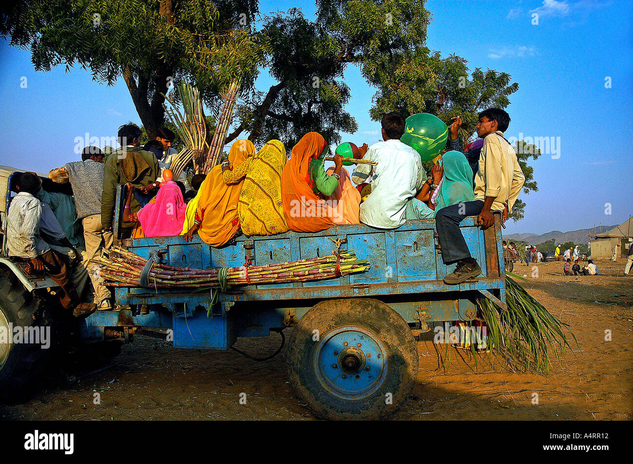 SUB98569 gli abitanti del villaggio su un trattore di andare alla fiera di Pushkar Rajasthan in India Foto Stock