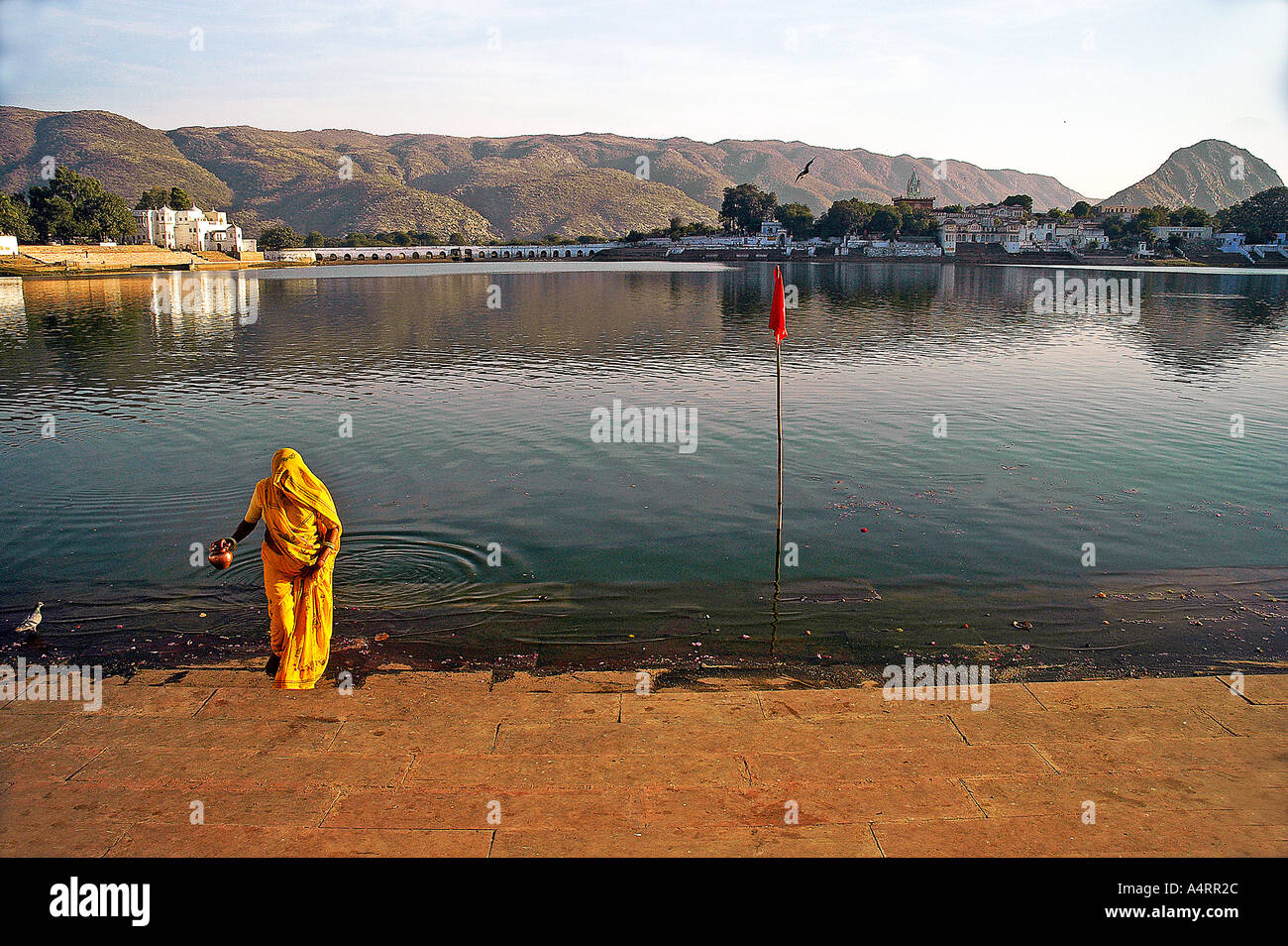 SUB98574 Donna al lago Pushkar Pushkar Rajasthan in India Foto Stock
