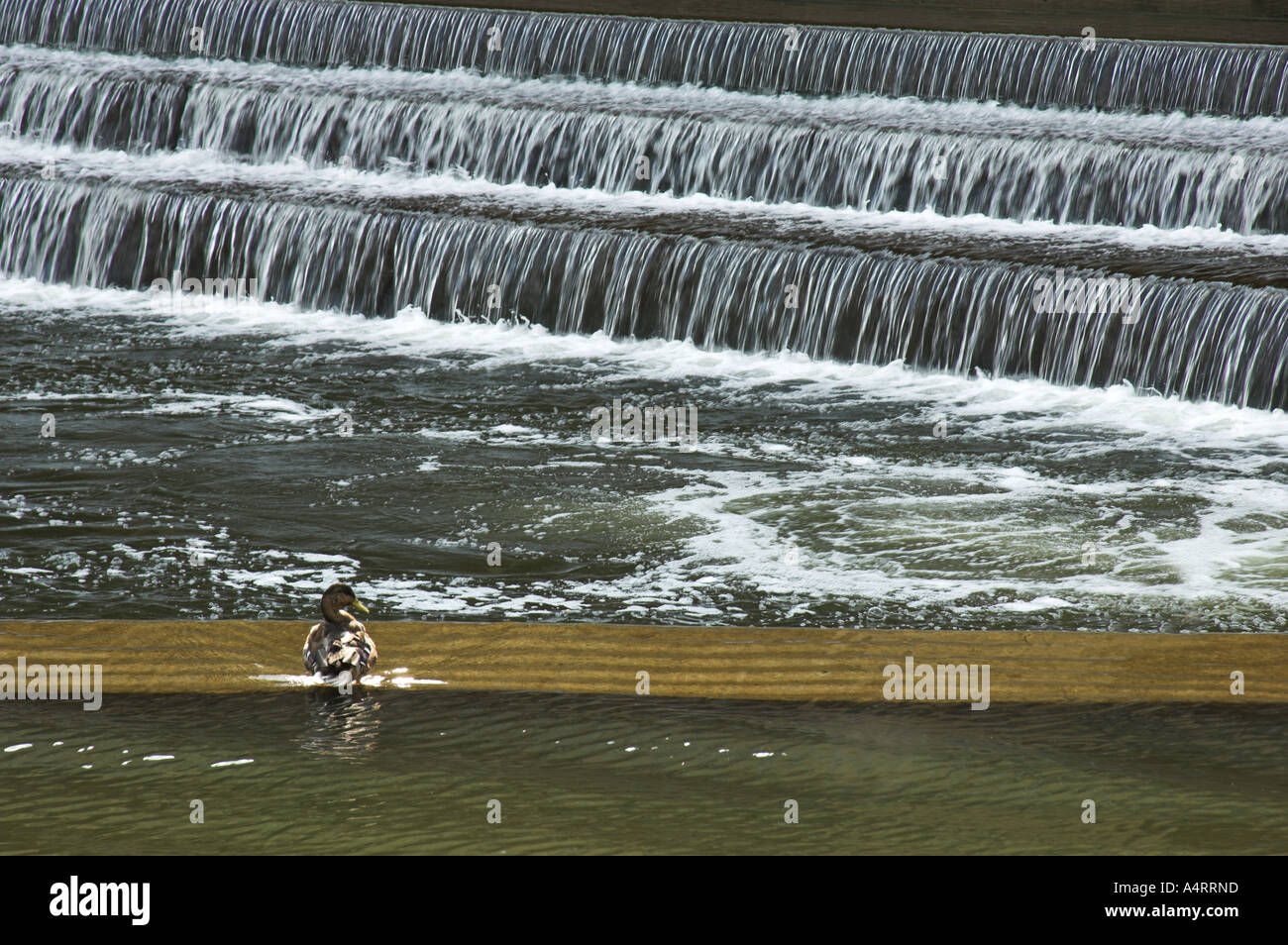 Parte di Pulteney Weir, Fiume Avon Bath Somerset Foto Stock