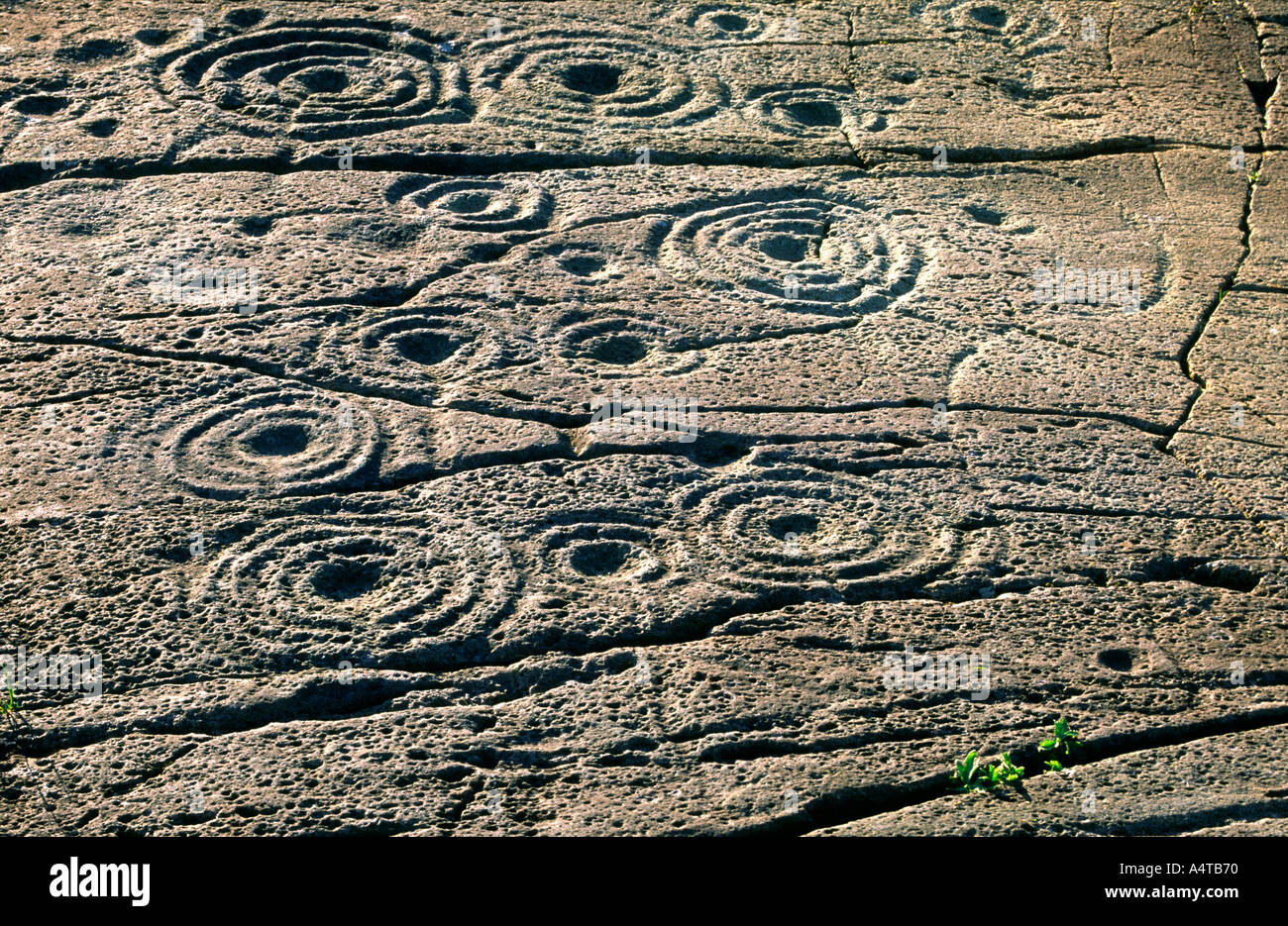 Coppa di epoca preistorica e anello di marchi marchio pietra scolpita arte rock affioramento a Cairnbaan, Kilmartin Valley, Argyll, Scozia occidentale, REGNO UNITO Foto Stock