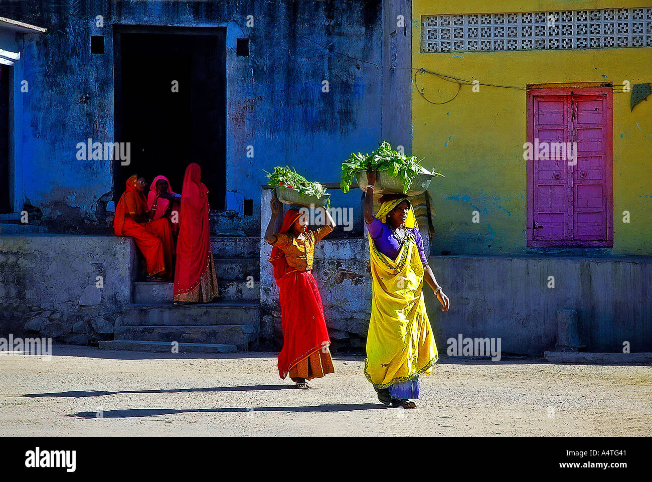SUB98589 venditori vegetale andare al mercato Pushkar Rajasthan in India Foto Stock