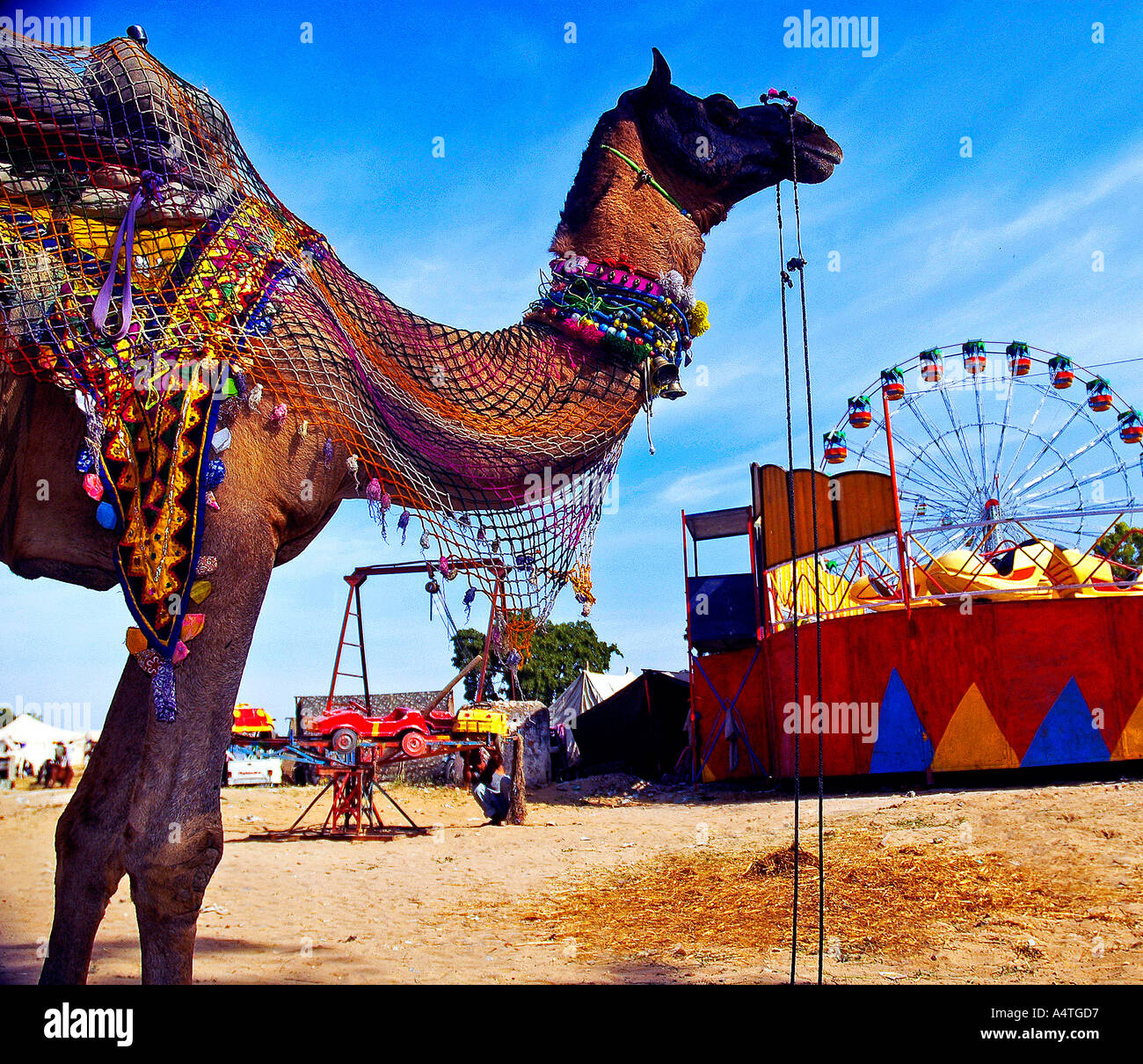 Decorate il cammello e il Merry Go Round Pushkar fiera del bestiame Rajasthan in India Foto Stock