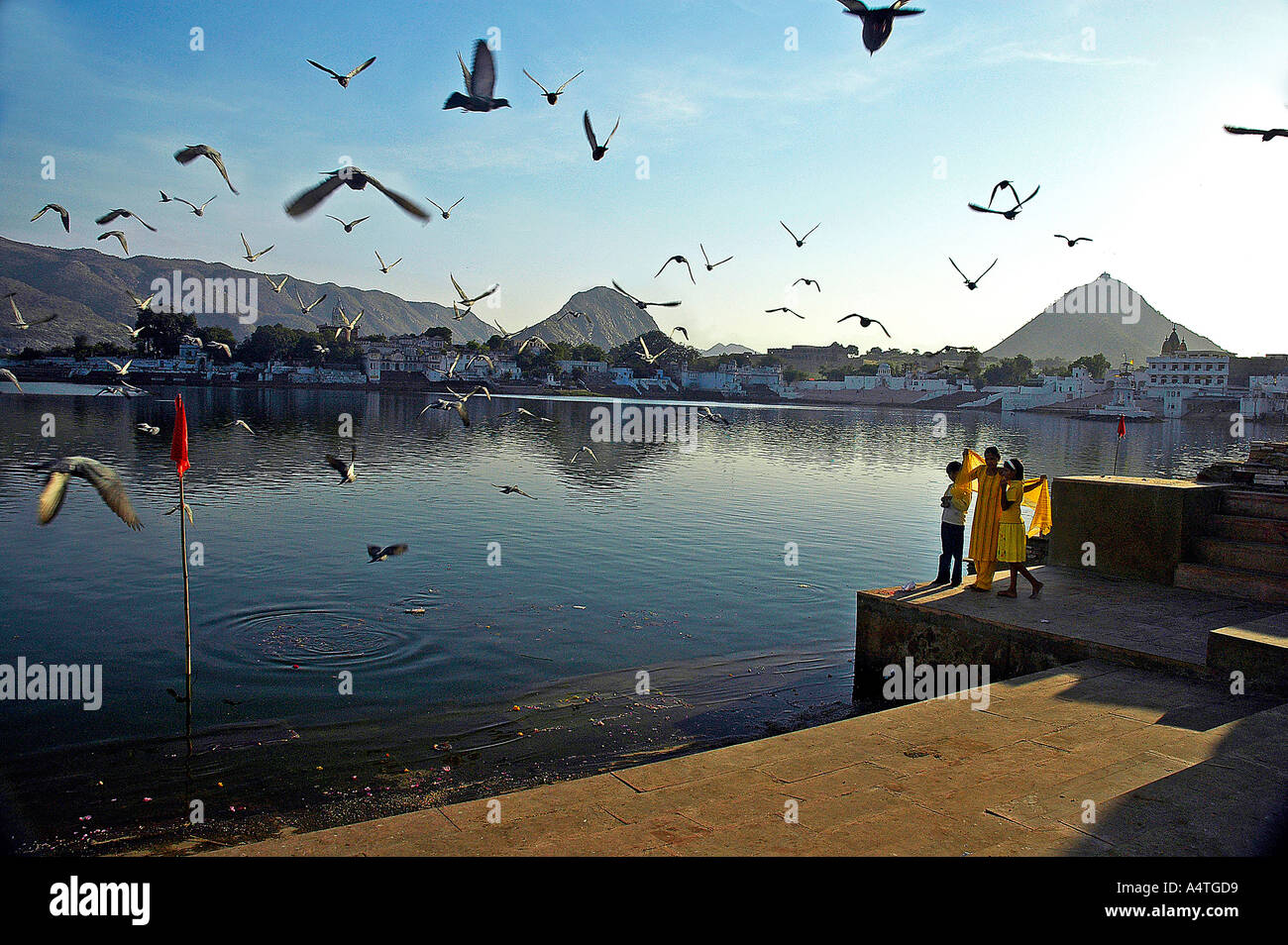 Piccioni e uccelli volare liberamente oltre il tranquillo lago Pushkar Rajasthan in India Foto Stock