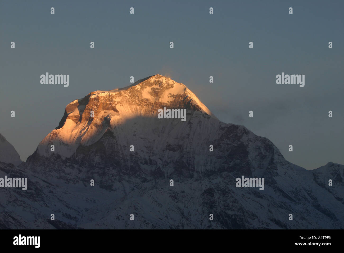 Himalayan picco Dahulgiri accesa la mattina presto dalla luce del sole Foto Stock