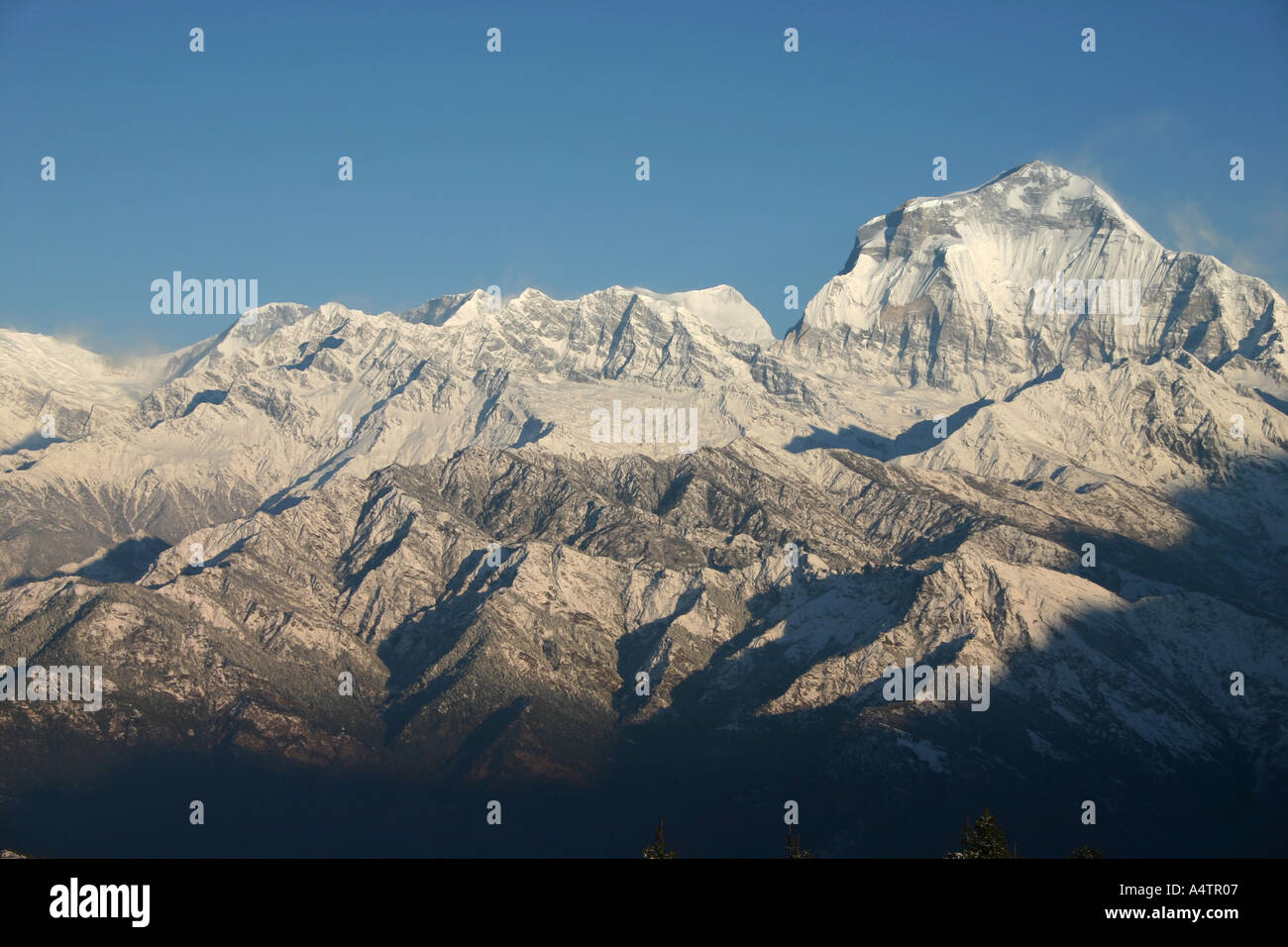 Himalayan gamma Dahulgiri accesa dalla mattina presto Foto Stock