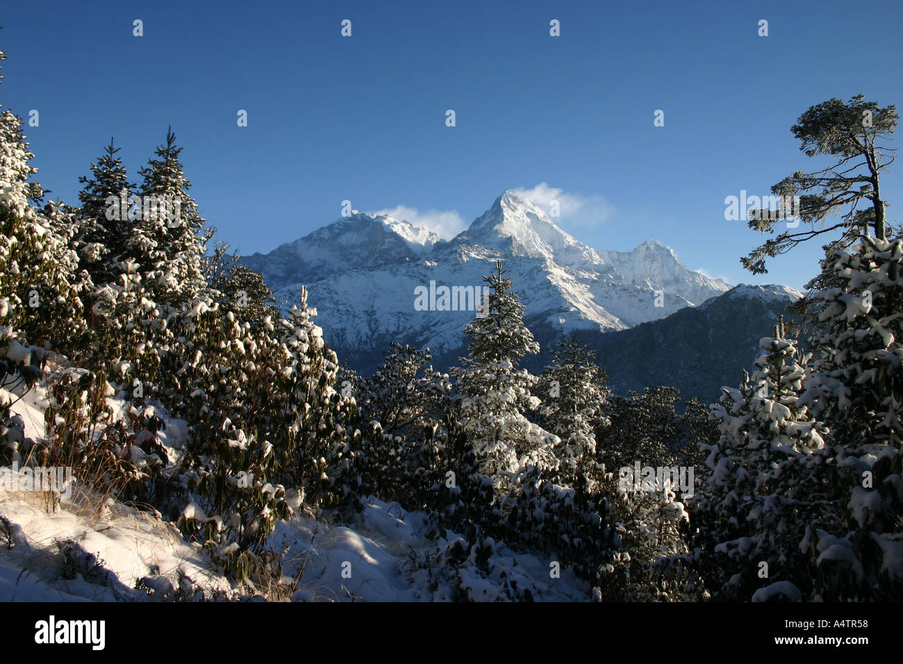 L'Himalayan Annapurna sud ha la neve soffiata via il suo picco di sunrise Foto Stock