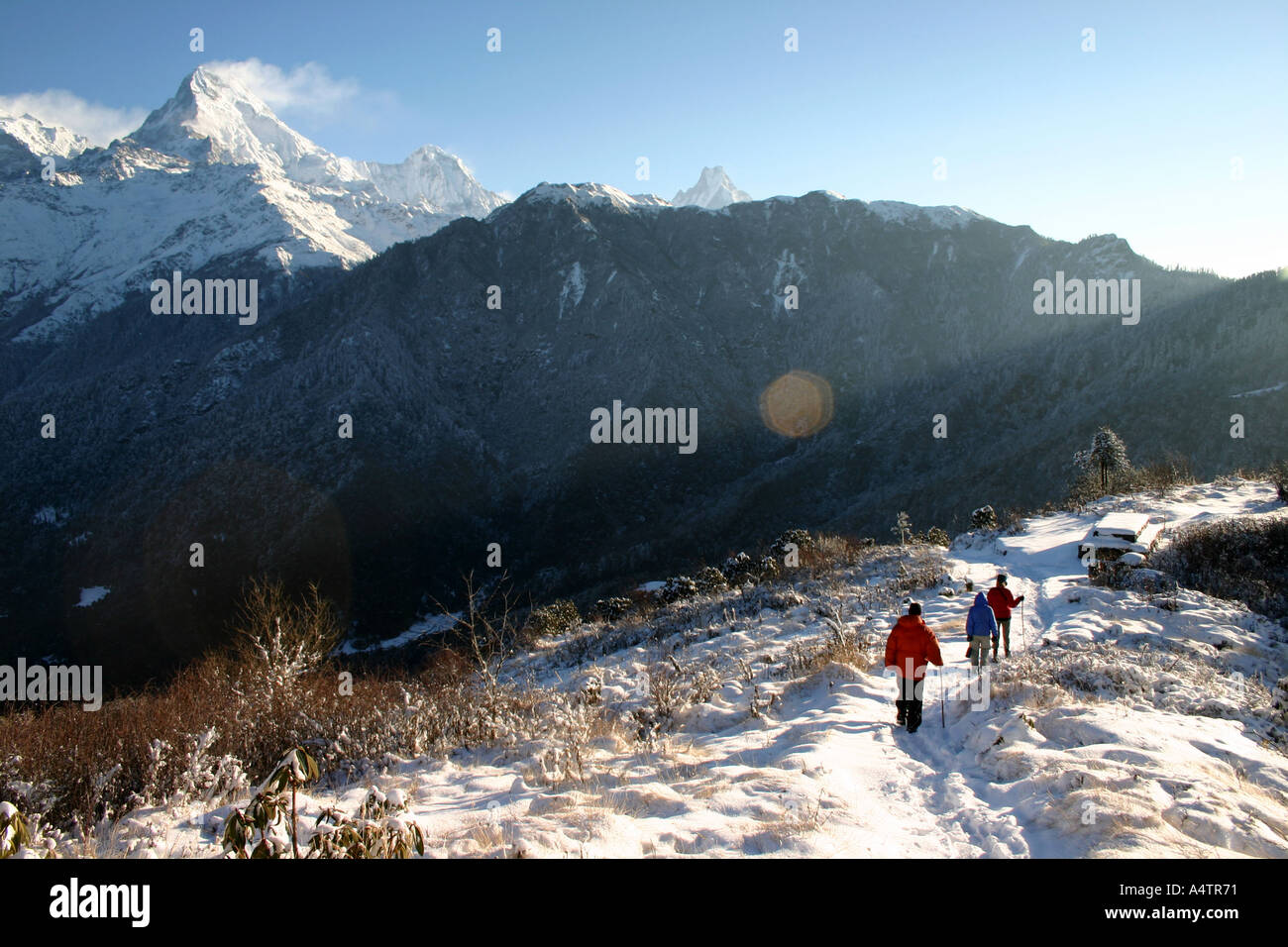 Escursionisti scendere Poon Hill nell'Annapurna Himalayan Mountain Range Foto Stock