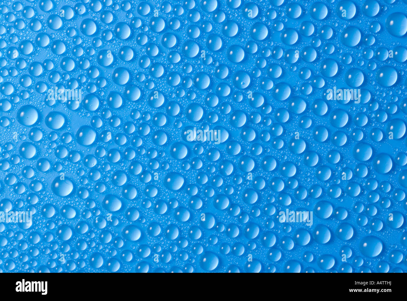 Accumulo di molti piccoli blu goccioline di acqua accumulata su una superficie Foto Stock