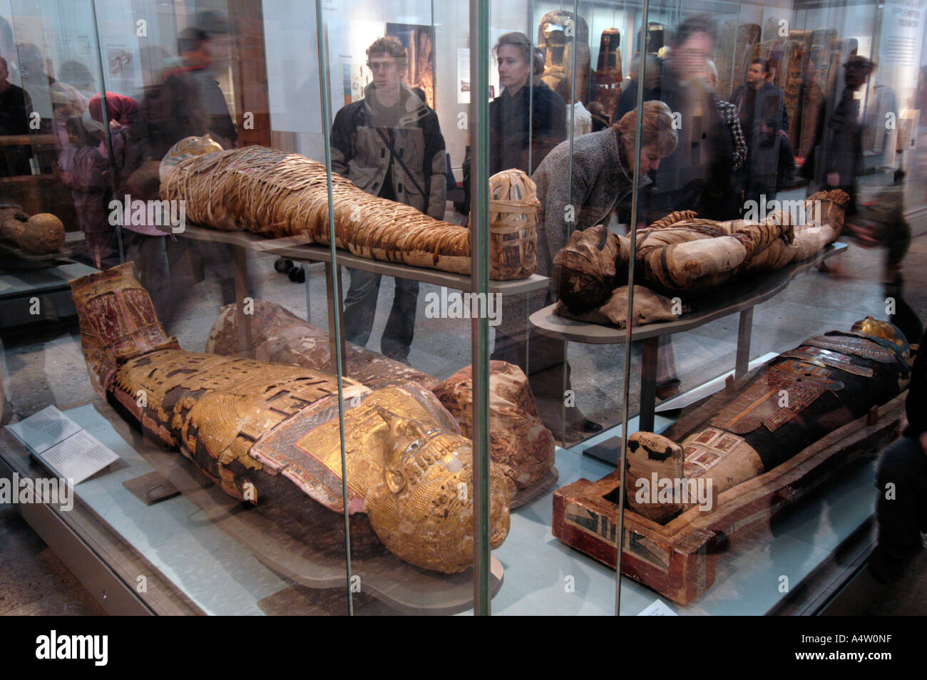 Mummie egizie presso il British Museum di Londra Inghilterra Gran Bretagna REGNO UNITO Foto Stock