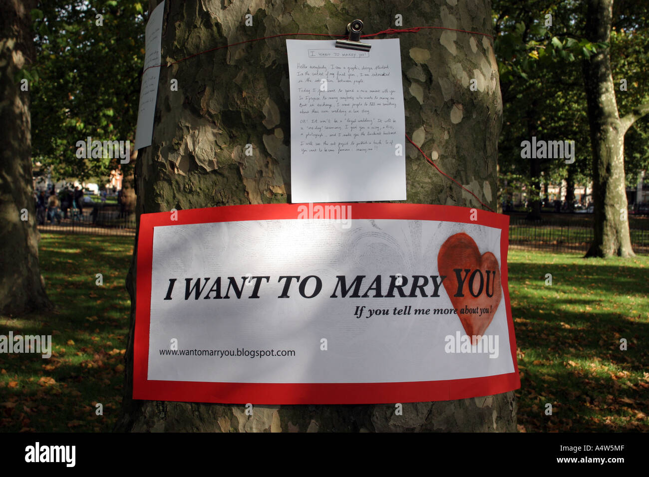 Studente la firma su un albero a Speaker's Corner nell'Hyde Park di Londra: voglio sposare si Foto Stock