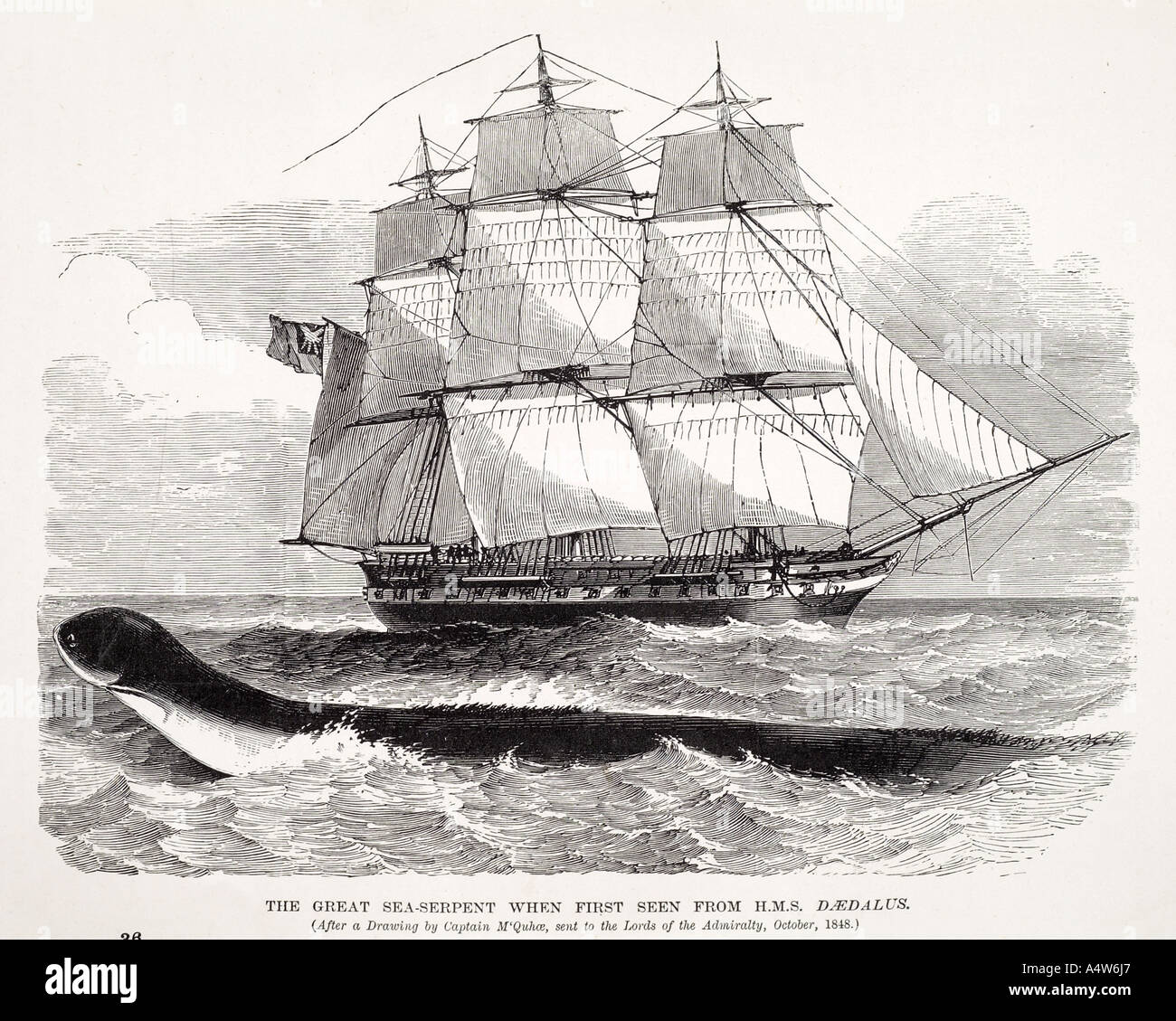 Serpente Marino mito leggenda animale mammifero snake mostro marino di folklore nautico barca a vela nave Fantasia creatura enalios estinto Foto Stock