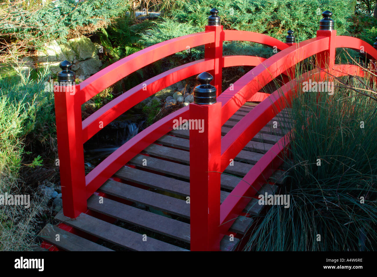 Ponte rosso di giardino Giapponese Capel Manor Foto Stock